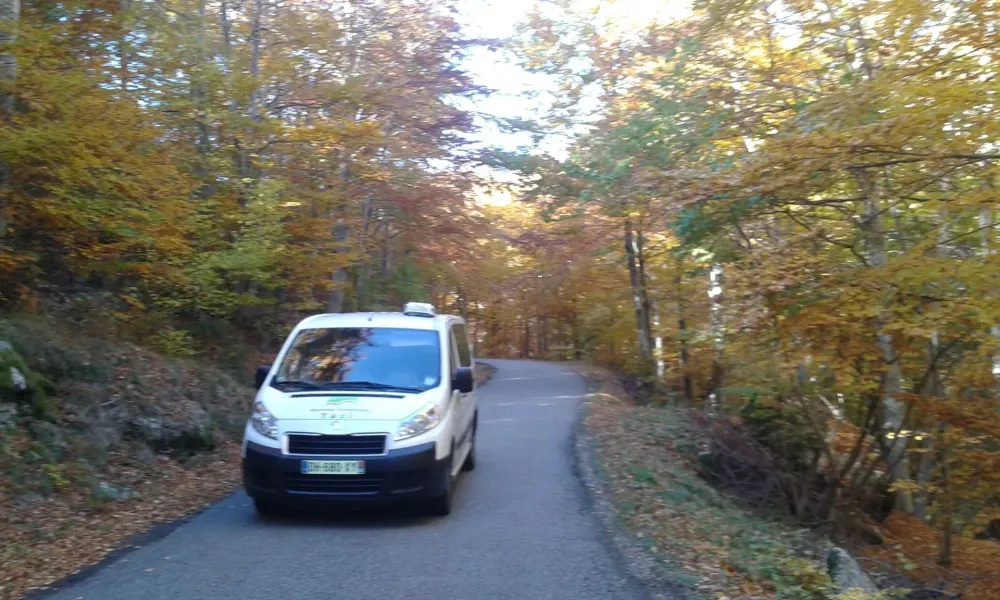 photo-foret-taxi-1